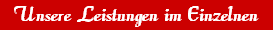 Unsere Leistungen im Einzelnen